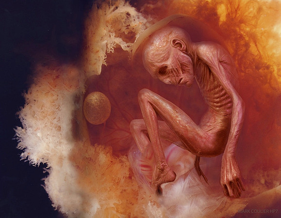 Flayed Voldemort baby design
