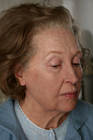 Meryl hero 1